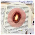 Kiwifruit