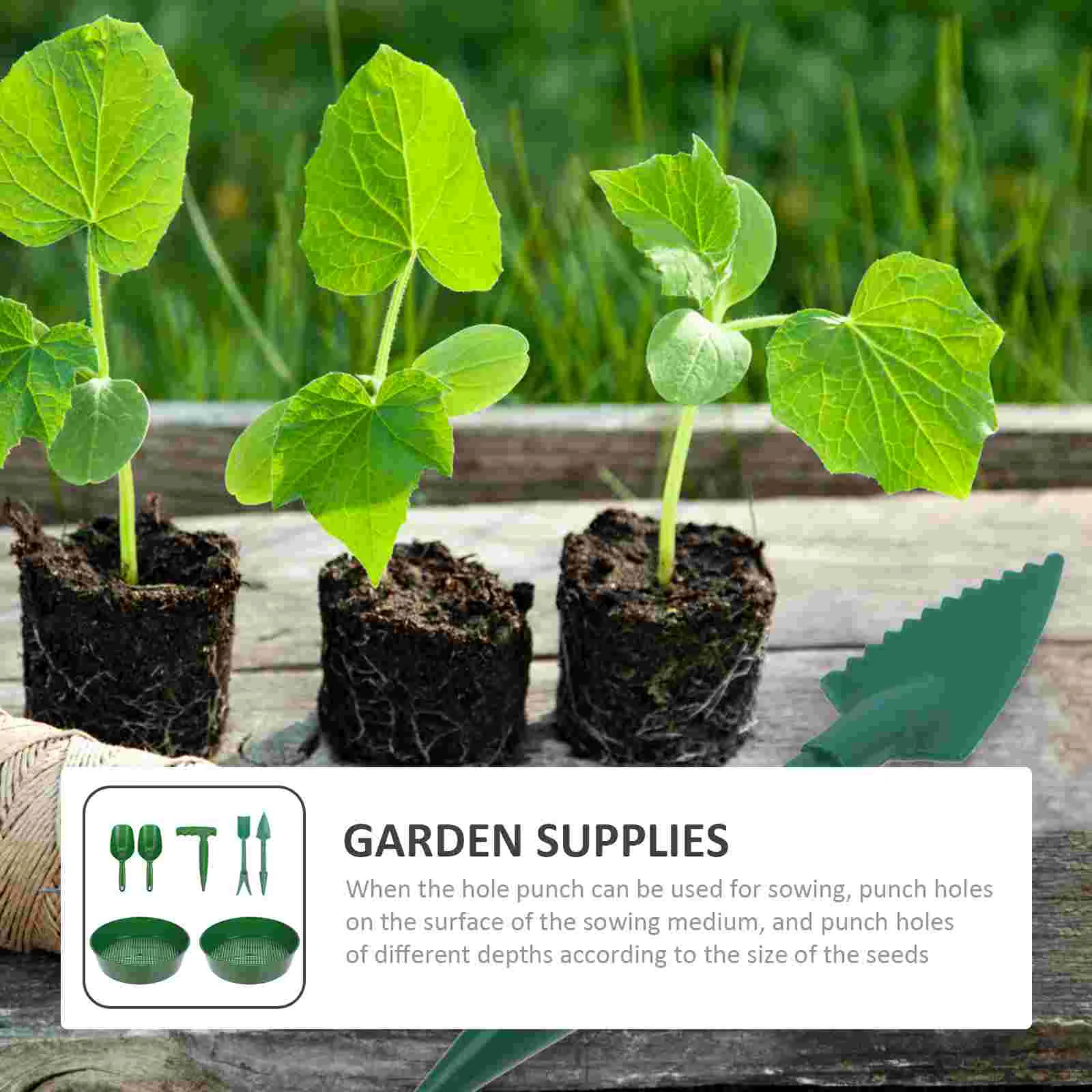 Garden Riddle Sieve Beach Accessories for Tool Hand Tools Succulents Fine Green