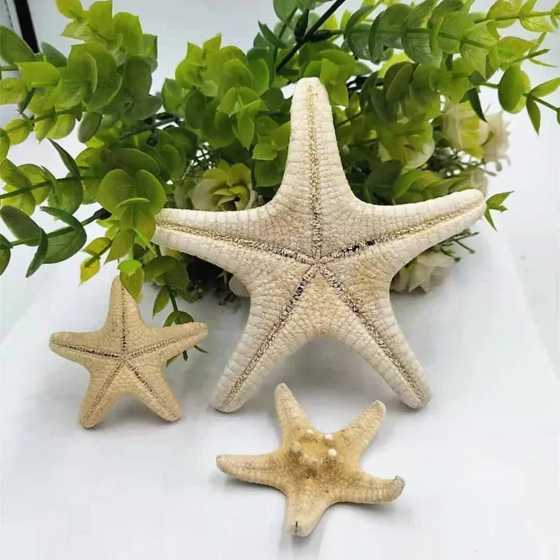 100PCS Starfish Crafts Decor Starfish DIY Shell Sea Fish Party Beige Starfish Decor