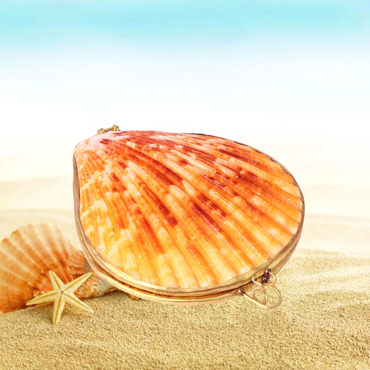 

6Cm Natural Shell Jewelry Box Creative Storage Case for Ring Earring Organizer Sundries Necklace Travel Home Bedroom Decor Sea