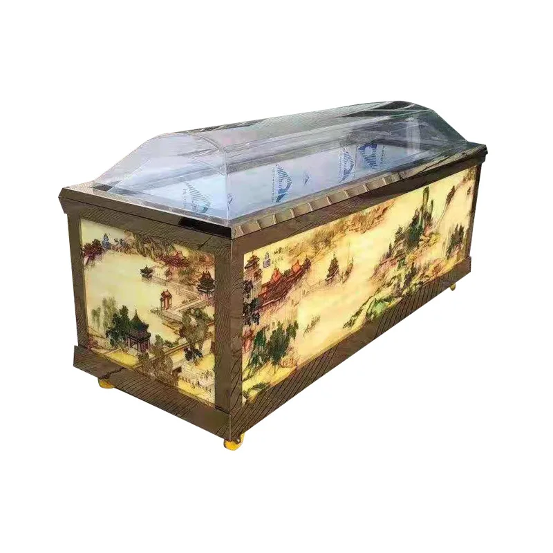 

Funeral Crystal Coffin Freezer Freezer, Frozen Coffin Freezer Freezer