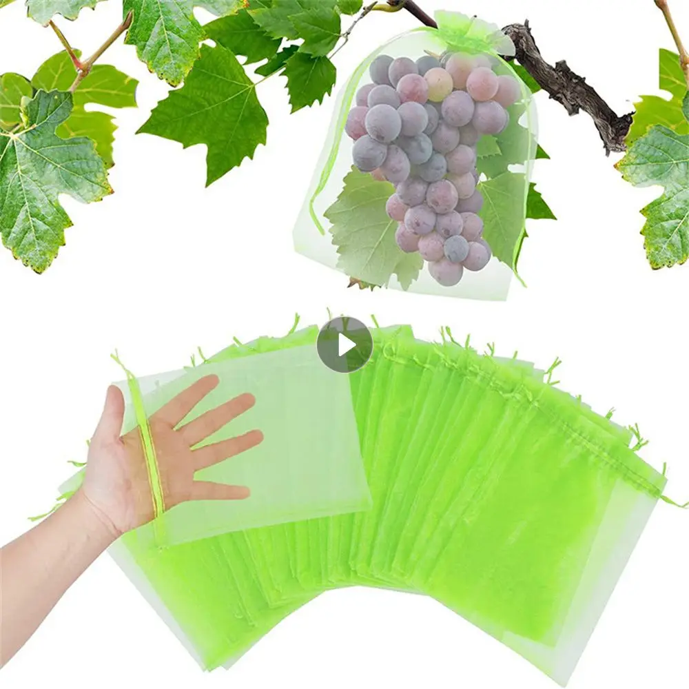 Fruit Planting Bag Protective Bag Fruit Protection Bag Bird-proof Fruit Grape Protection Bags Mesh Anti-bird Bag