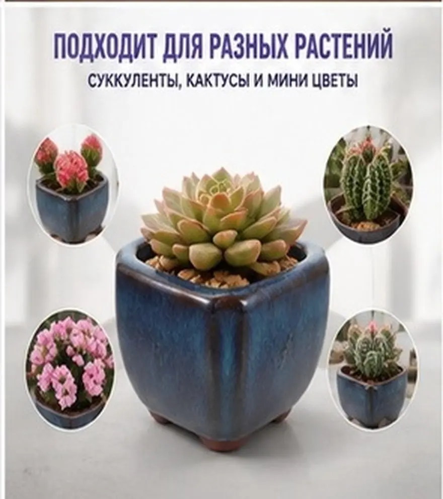 1Pcs Purple Sand Flowerpot Mini Size Succulent Plant Pot Drainage Hole Desktop Planter Home Office Decoration Gift