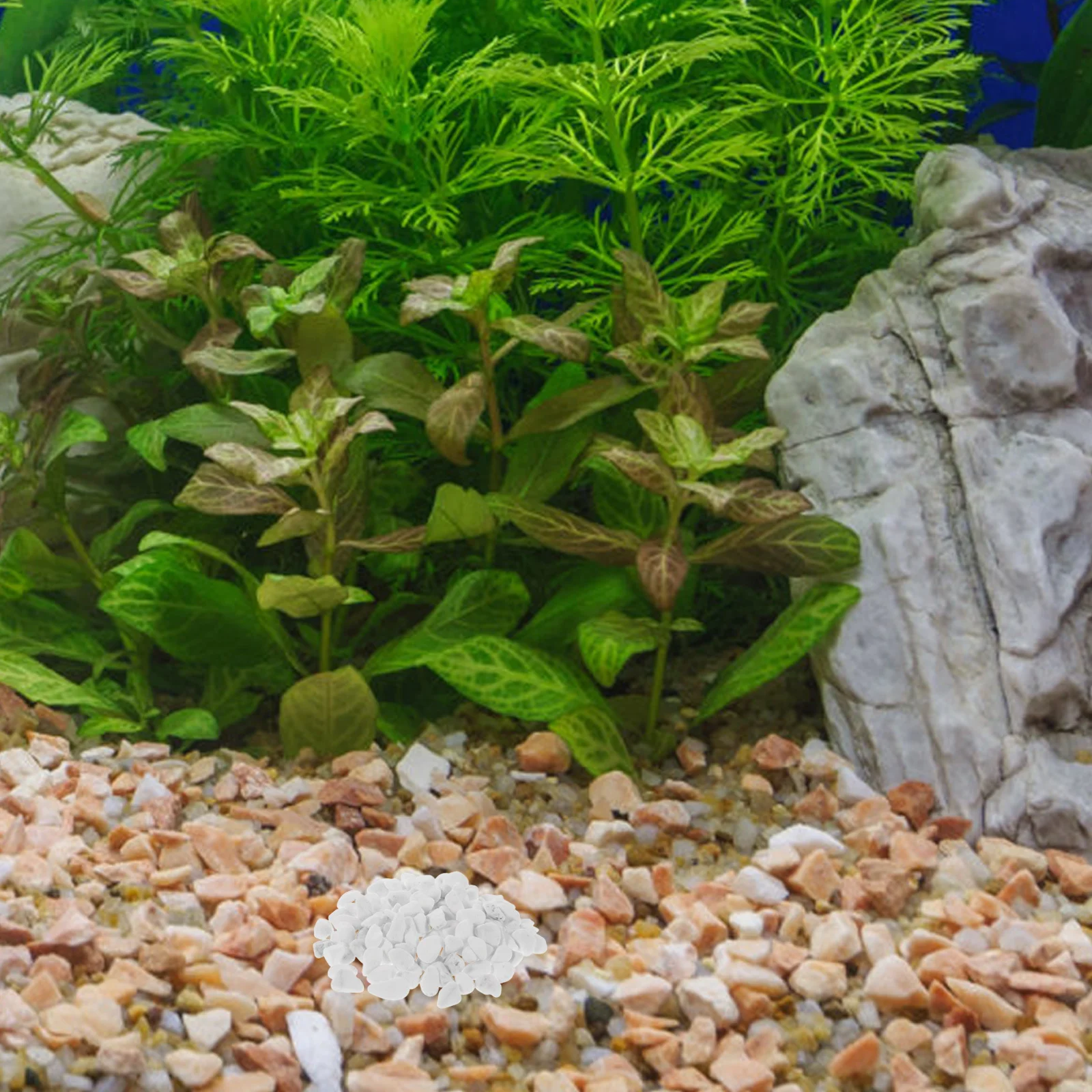 1Set Natural Stream Stones White Aquarium Gravel Decorative Pebbles for Fish Tank Landscaping Garden Path Outdoor Plant Pots