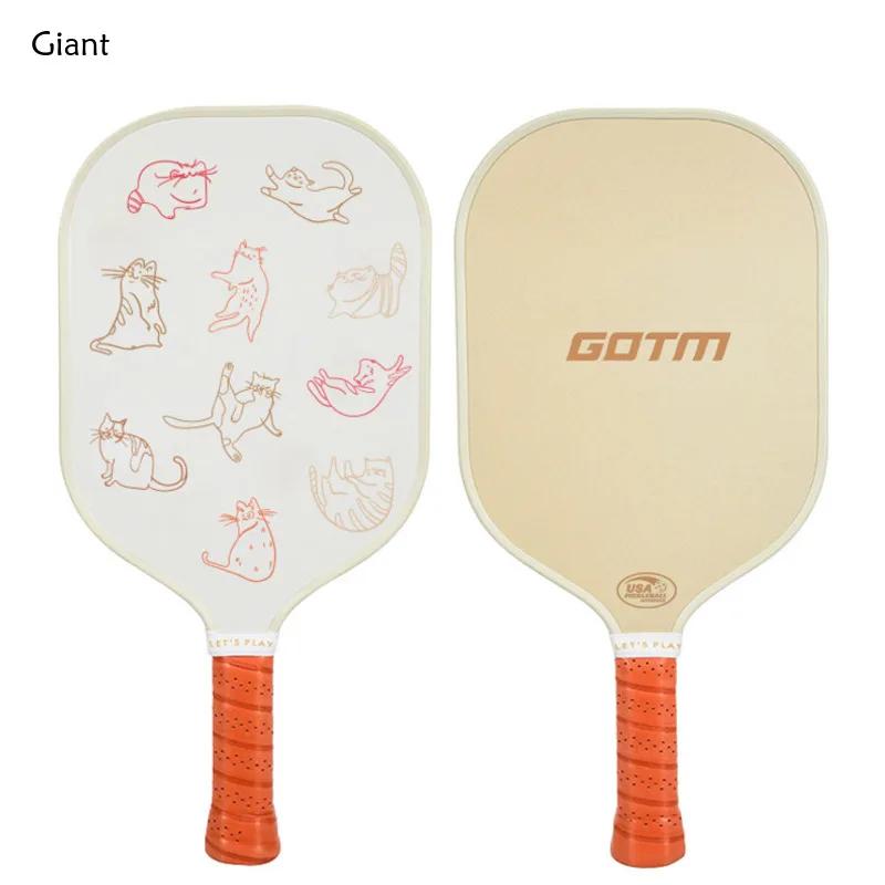 

2 Rackets 4 Balls Protective Covers American Carbon Fiber Board Pickleball Paddle for Beginner College Students Training