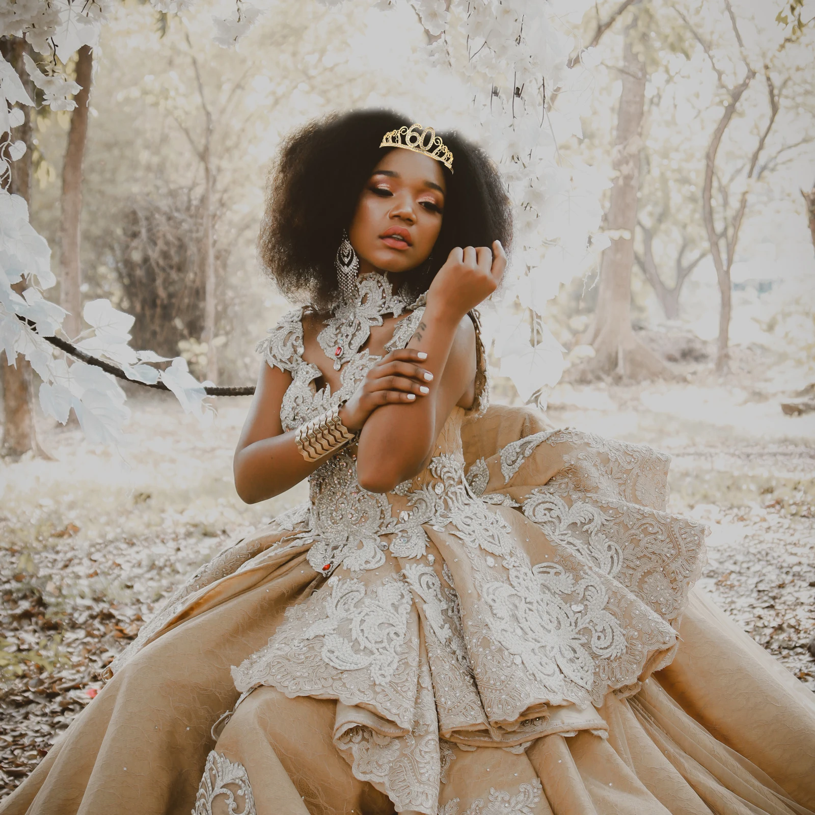 

Birthday Party Queen Headdress Shiny Rhinestone Hair Ornament Women Chic Tiara For Themed Celebration Decor