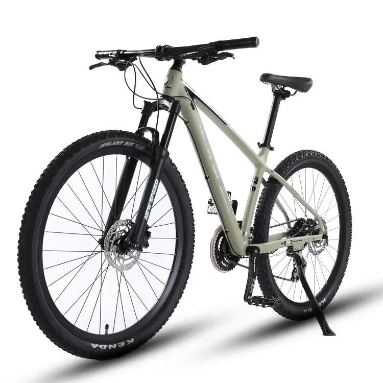 Carbon Mountain Bike 11 Speed 29inch Thru Axle Disc Brake Suspension Fork Complete Bicycle 29 Carbon Bike