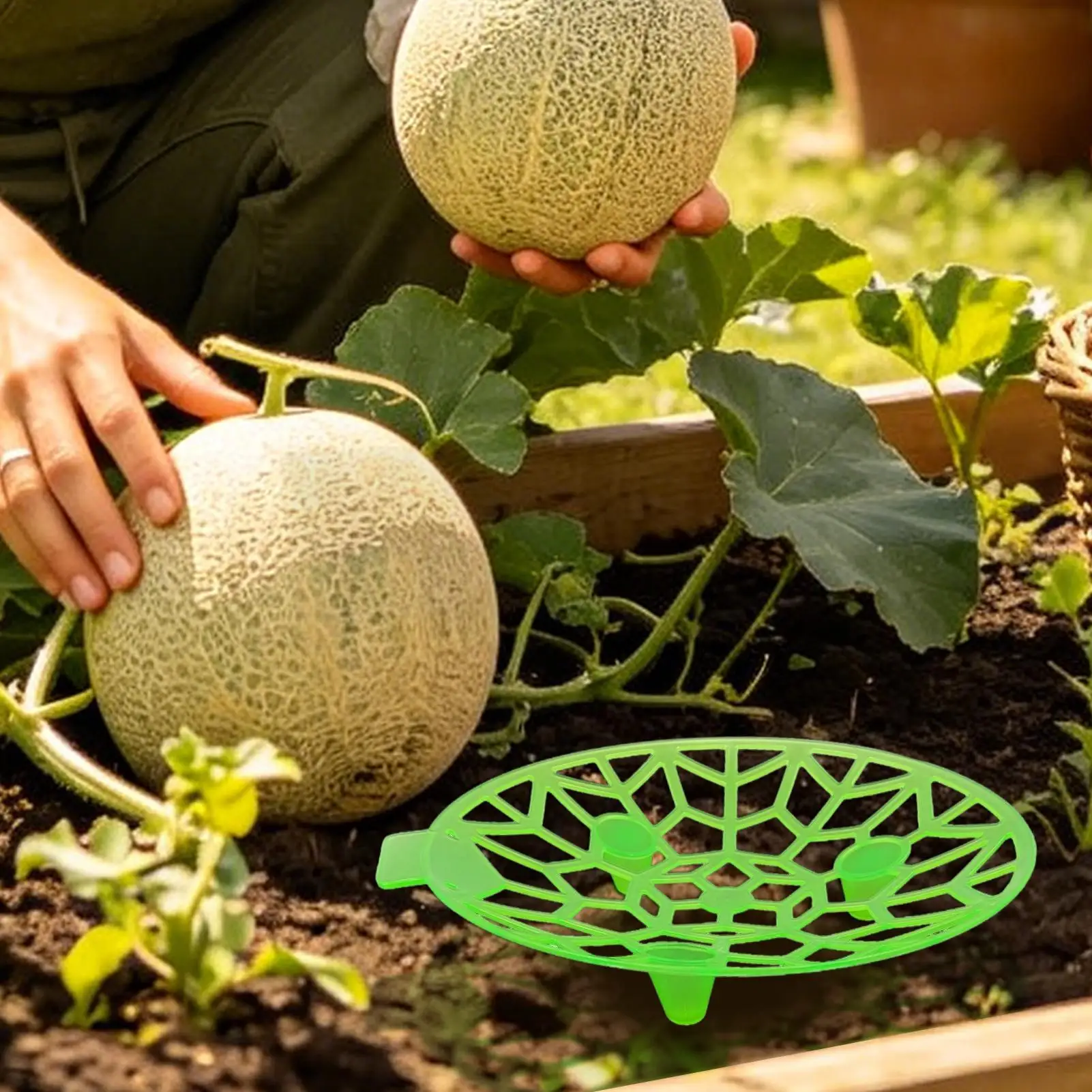 4 Pieces Squash Support Tool Watermelon Cradle Cantaloupe Support Tray for Gardeners Farmers Raised Beds Backyard Greenhouse