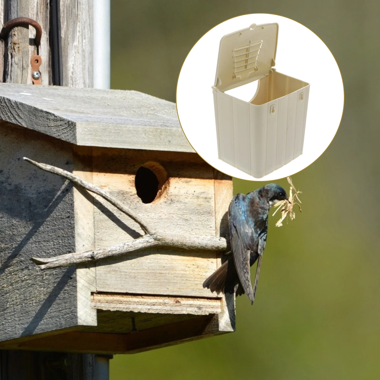 Kolibri-Nistkäfig-Zuchtbox zum Aufhängen von Vögeln, Hausbeige, Wasserspender für Haustiere