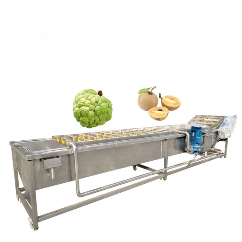 Water Circulation Lettuce Tomato Strawberry Leaf Vegetable and Fruit air Bubble Washing Machine