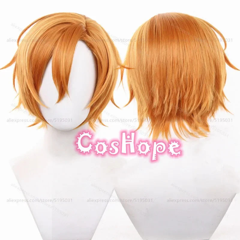 SASAKI SYUUMEI Cosplay Wig 30cm Short Orange Wig Cosplay Anime Cosplay Wigs Heat Resistant Synthetic Wigs