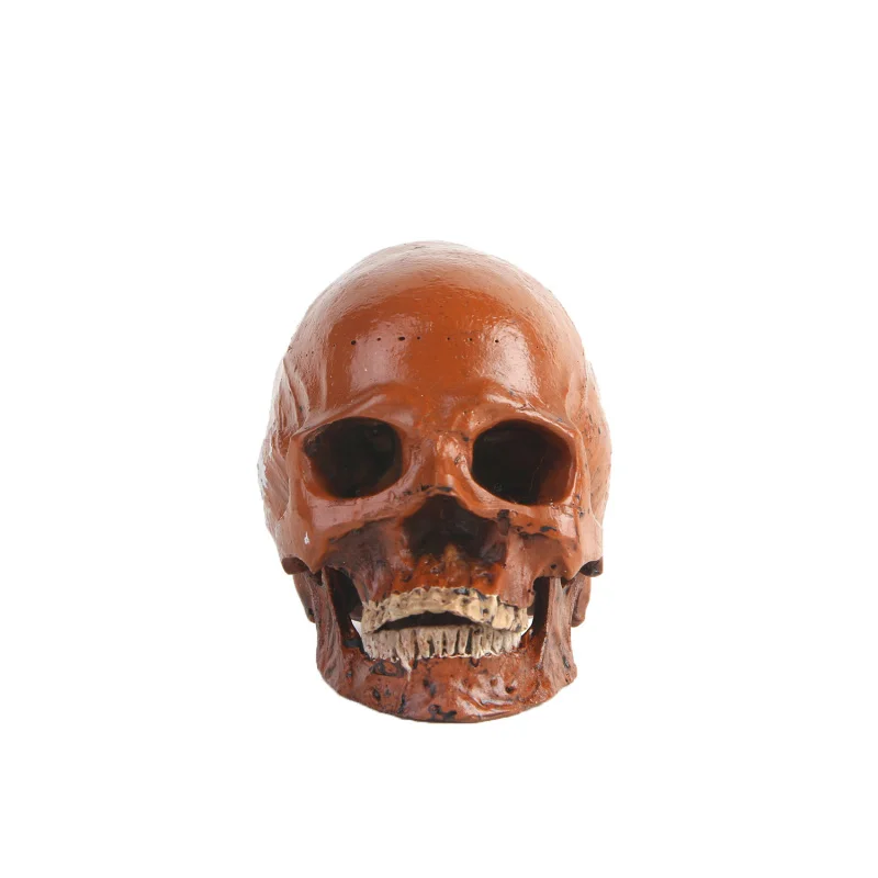 Specimen Mold Resin Halloween Prank Prop Craft Skull Model