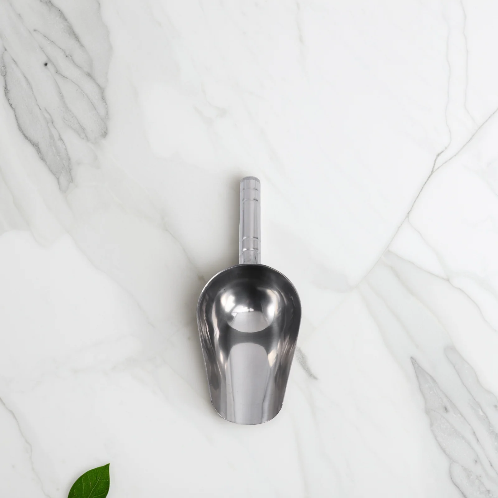 

Pet Food Scoop Stainless Steel Dog Shovel for Catfood Candies Nuts Flour Popcorn Coffee Beans Measuring Tool