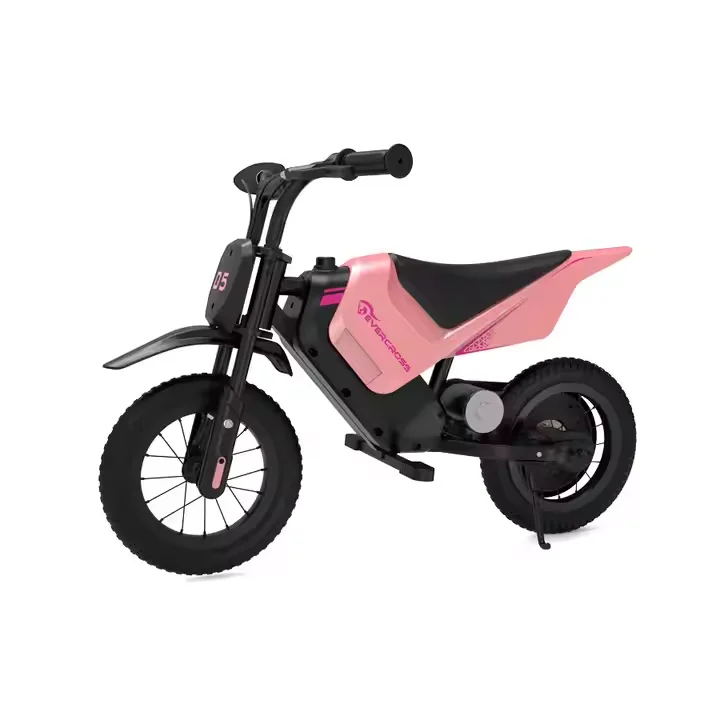 

Intelligent Library EV05M Children Boy Gift Off Road Bikes Powerful 300w Outdoor Moto Kids Off Road Electric Dirt Bike