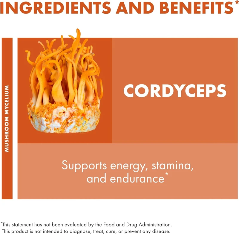 Cápsulas Cordyceps sinensis, suplementos de soporte inmunológico y energético, ayuda con la absorción de oxígeno, 60 cápsulas