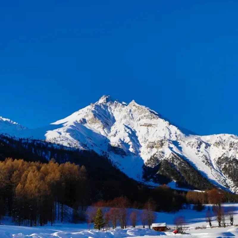 

GEPRC TAKER F405 BLS 60A/65A/80A V2 Stack - 4IN1 ESC, AT7456E OSD, 16MB Black Box, ICM42688-P Gyro, Dual 5V/12V BEC RC FPV Parts