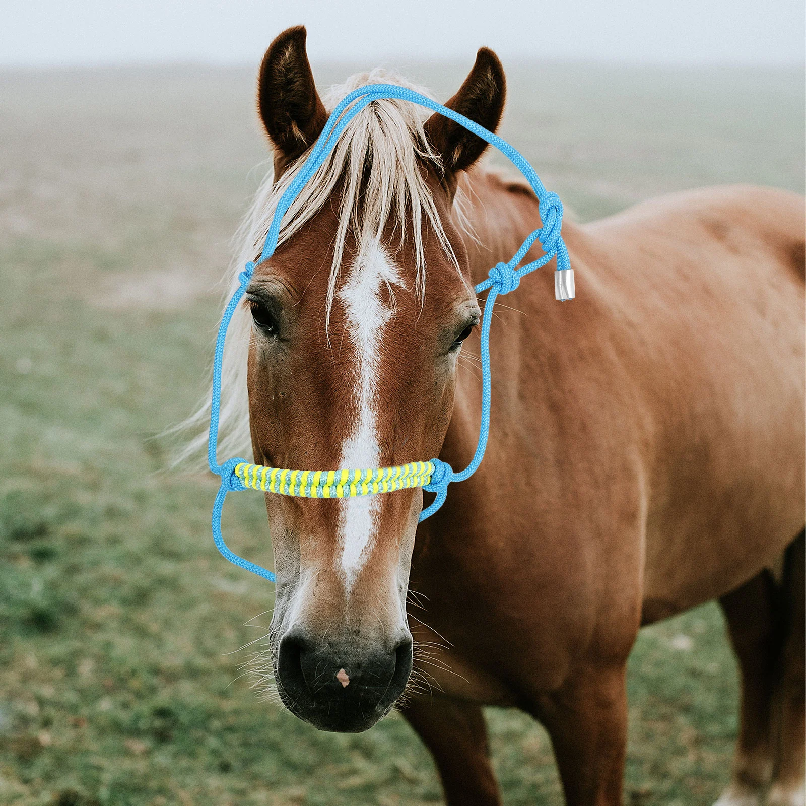 ปรับ Multi-Knot เชือกถัก Horse HEAD ปฏิบัติ Halter Supply เต็ม Reins การฝึกอบรมไนลอนกลางแจ้งเพื่อความปลอดภัย