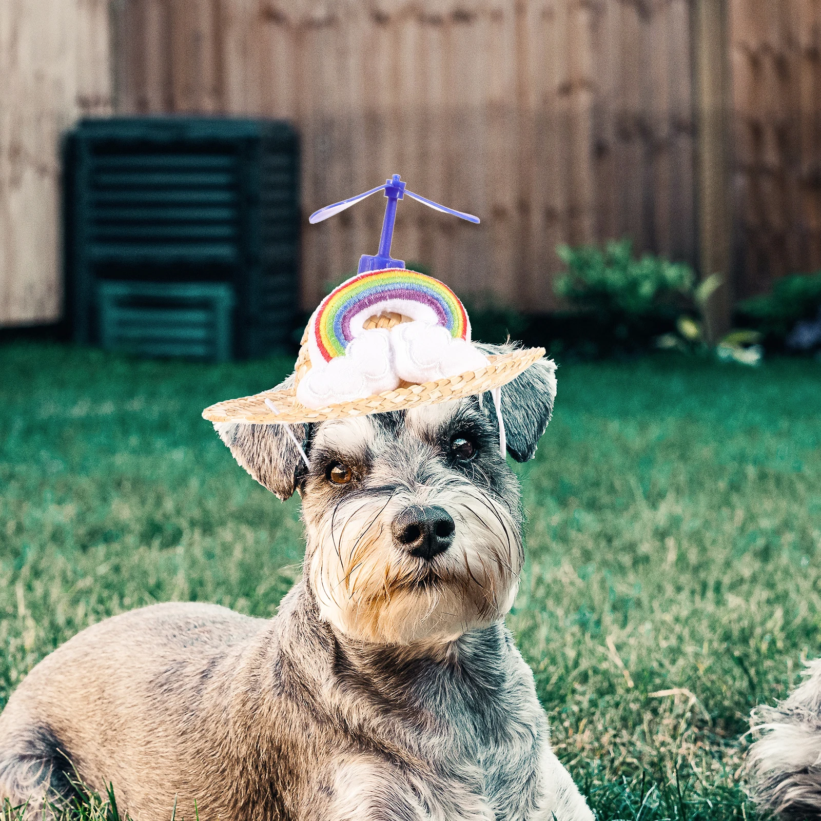 

Pet Hat Supplies Photo Props Decoration The Dog Straw Cap Hats