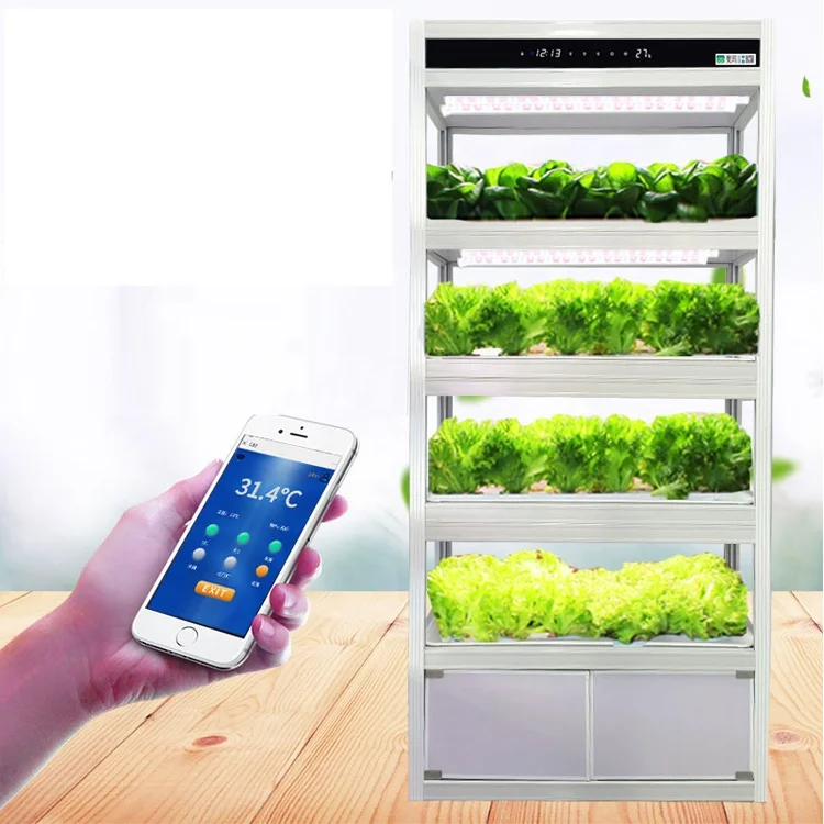 

Lettuce Vegetables Cultivate System Machine Intelligent Smart Hydroponics