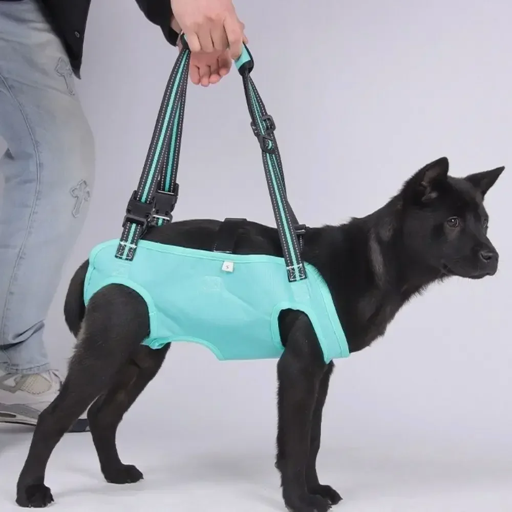 2026 Adjustable Chest Harness for Elderly Dogs & Disabled Pets - Reversible Rehabilitation Support Dog Accessories