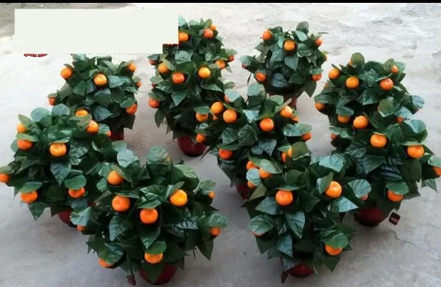 Blooming Oranges - Remote Control (10 Oranges,Battery Version) Magic Tricks Appear Vanish Magia Stage Party Wedding Prop Comedy