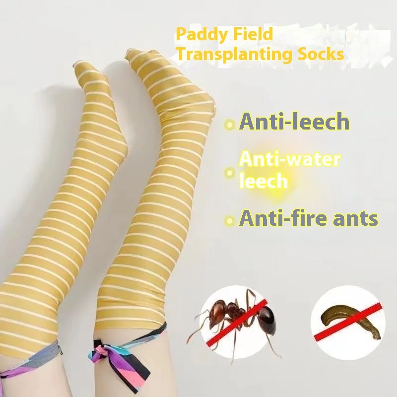 Unisex Thickened Long Rice Planting Socks Anti Leech Bite Protection Wading Socks Paddy Field Farming Agricultural Planting Work