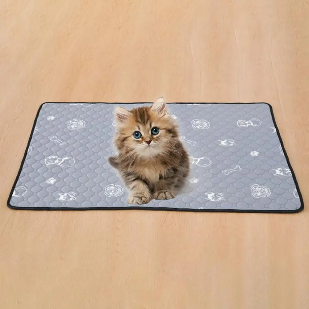 Soft Cat Pee Blanket Breathable Anti-skid Bottom Leakproof Pee Training Dog Urine Bed Mat  Dog Urine Pad Protect Floor