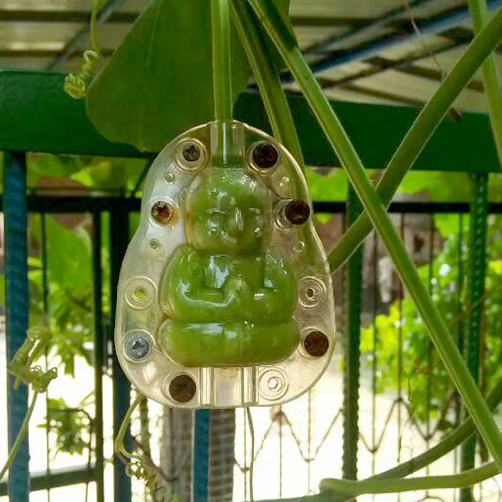 

5pcs Mold Fruit Shaping Transparent Vegetable Growing Practical Sturdy Gardening Safe Pressure Resistance