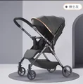 Rock Ash  260