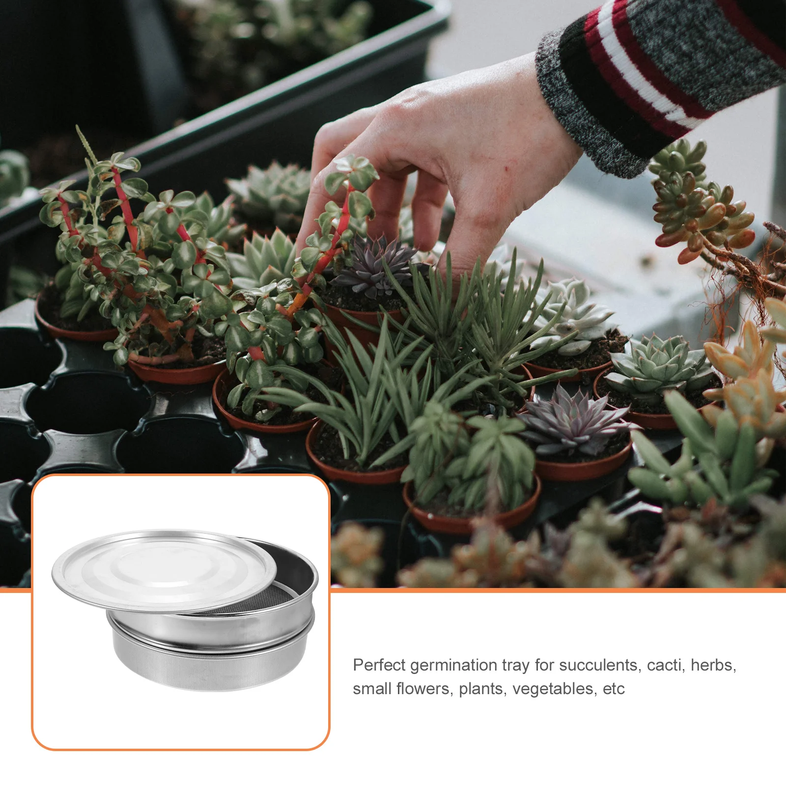 

1Set Stainless Steel Growing Tray Professional Plant Germination Tray Ideal for Seed Starting Transplanting Indoor Outdoor