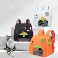 Portable Cartoon Cat Backpack Comfortable Breathable Pet Backpack Visible Foldable Dog Carrier Bag Puppy