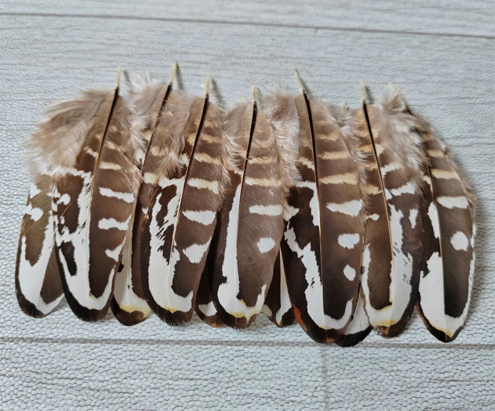 100Pcs  7-10cm Natural Brown White Reeves Pheasant Small Quill Feathers DIY Supplies for Craft Jewelry Costume Making