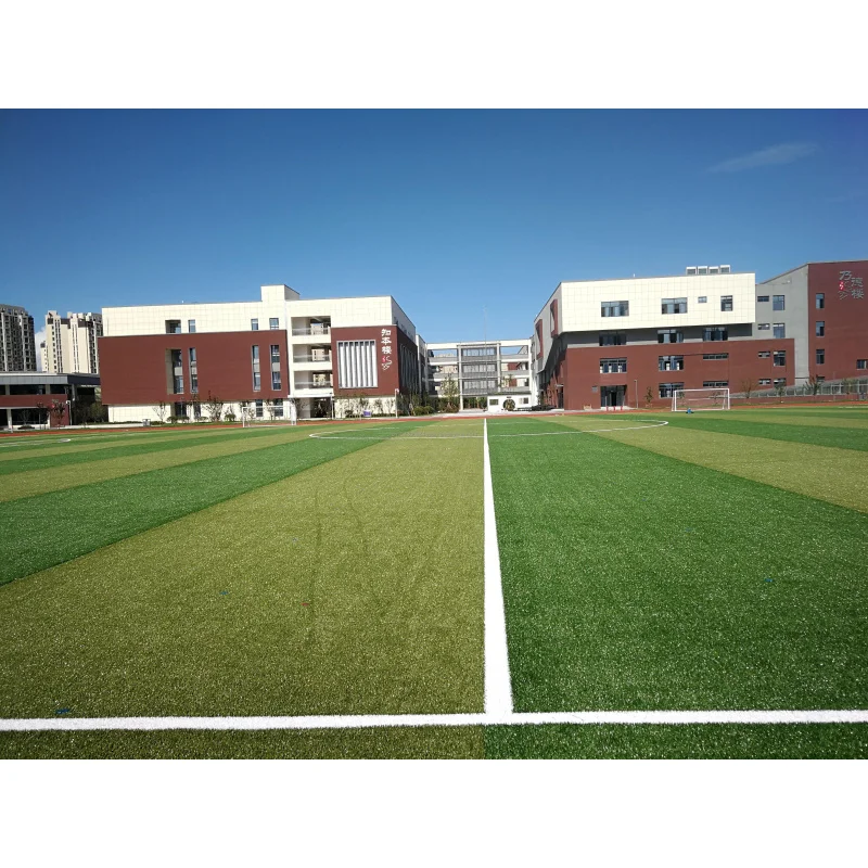 Custom.2025 خمسة جانبية متينة 50 مللي متر كومة ارتفاع مقاومة العشب الاصطناعي PE قفص رياضي لكرة القدم F #5