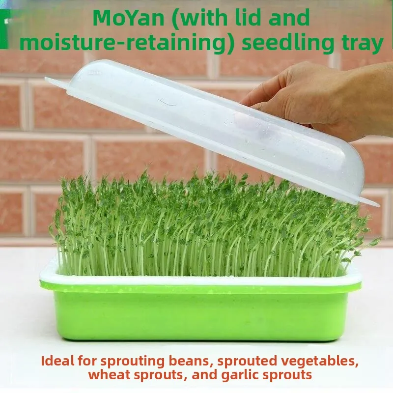 Home Use Bean Sprout Growing Tool Hydroponic Vegetable Pea Seedling Tray Frame Peanut Sprout Germination Pot Nordic Style Fru...
