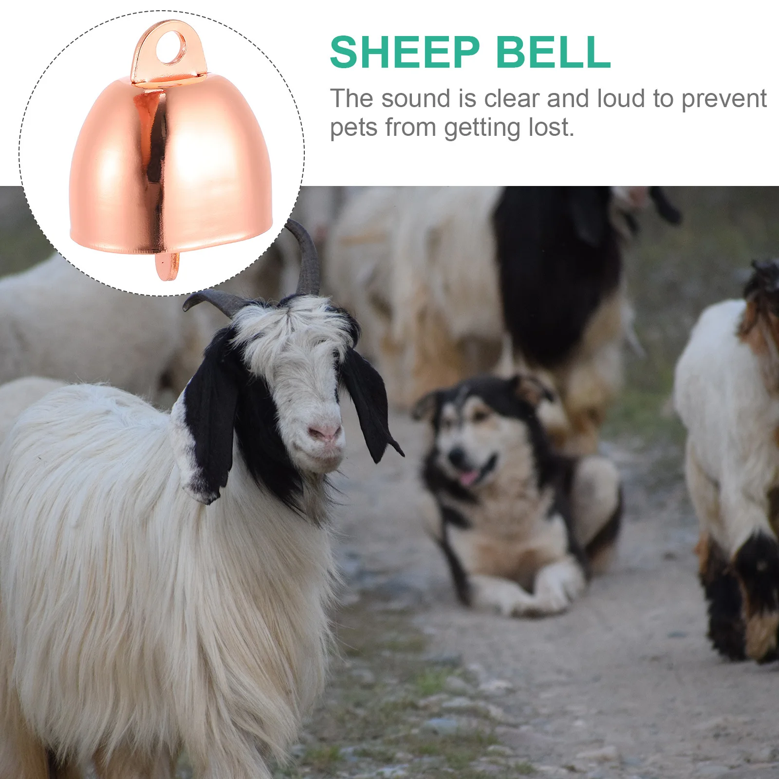 أجراس مضادة للسرقة بصوت عالٍ للبقرة والحصان والأغنام مادة حديد عالية الجودة أنيقة وساحرة وجميلة ومذهلة وأجراس الماشية الحديدية