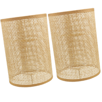 2 Pcs Lamp Shade Light Fixtures Ceiling Holder Lampshades for Table Rattan Pendant Metal Woven Chandelier Replacement