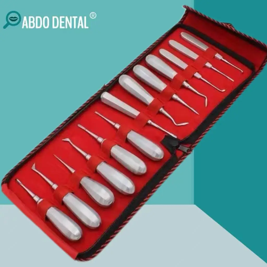 

13Pcs Dental Stainless Steel Plier Curved Root Forceps Hexagon Handle Dental Extraction Elevator Kit Dental Instruments Set