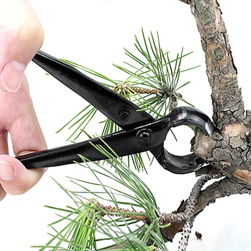 Strumenti per bonsai da giardino per modellare il paesaggio 210 mm Taglierina per bottoni per bonsai Taglierina per bordi concavi Pinza per tagliare le radici Forbici a sfera