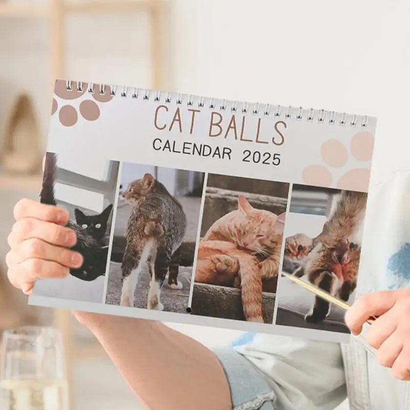 2025 Funny Hangable Paper Calendar Cat Balls Monthly Gag Humor Gift Prank Calendar for Home Livingroom Bedroom New Year Decor