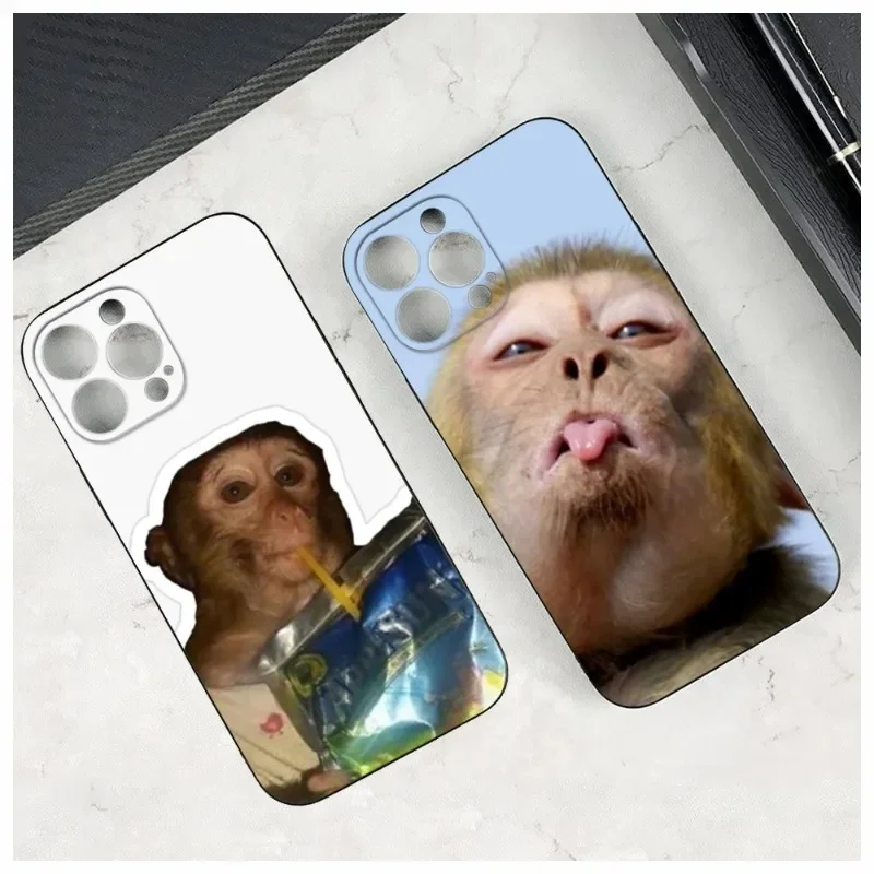 Monkey Sipping Caprisun Meme Phone Case For Iphone 15 14 12 11 13 Pro Max Mini X XR XS 7 8 Max SE 2020 Soft Phone Covers