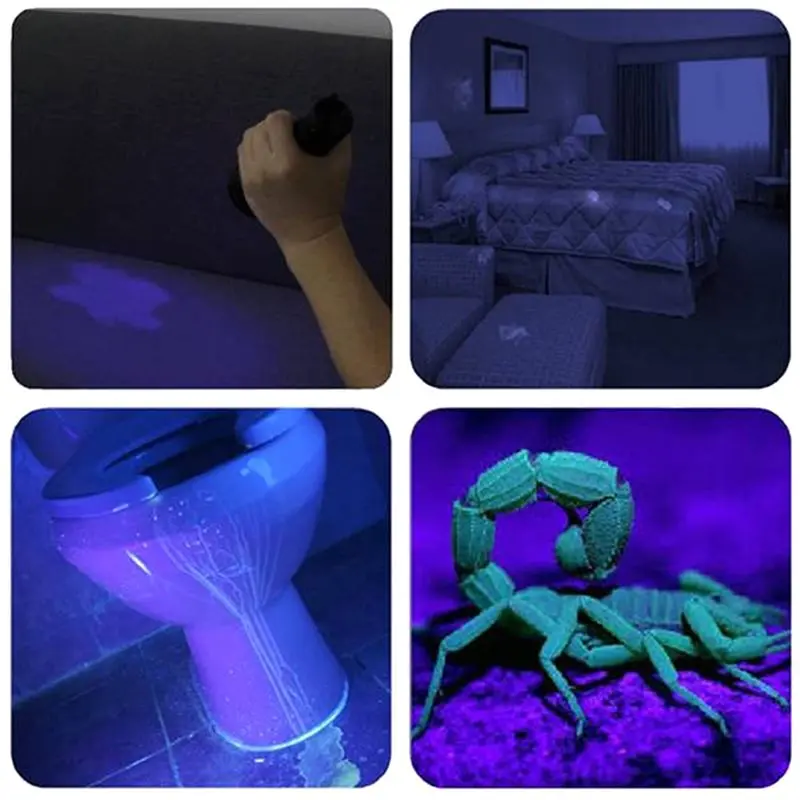 AFOURT-UV Light Detection Torch Portable LED 395NM Super Strong Ultra Violet Light