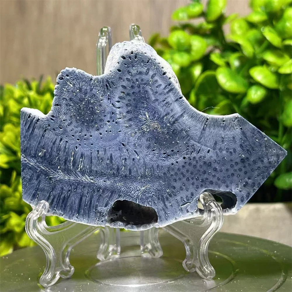 Crystal Natural Heliopore Blue Coral Tower Point Wand Free Form Stone Home DecoratQuartz Specimen Energy Mineral Gemstone +Stand