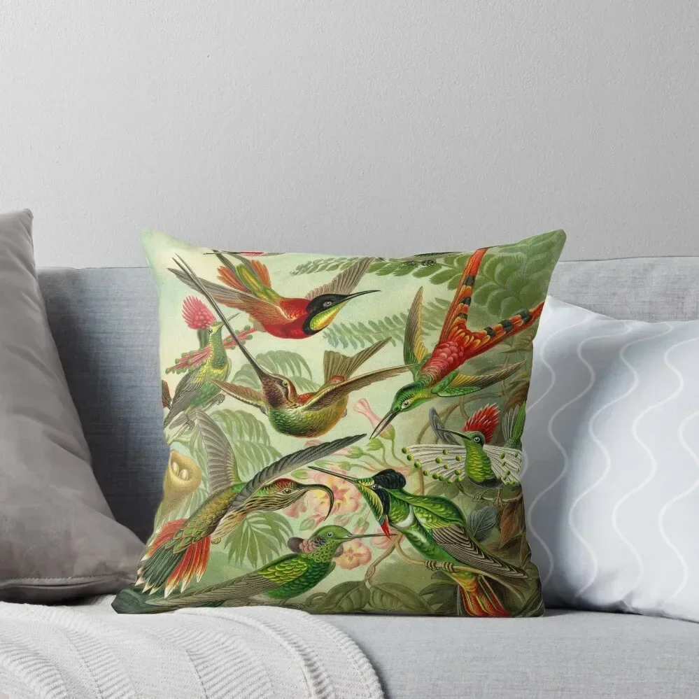 Colibri - Ernst Haeckel Throw Pillow Couch Cushions Christmas Pillows pillow