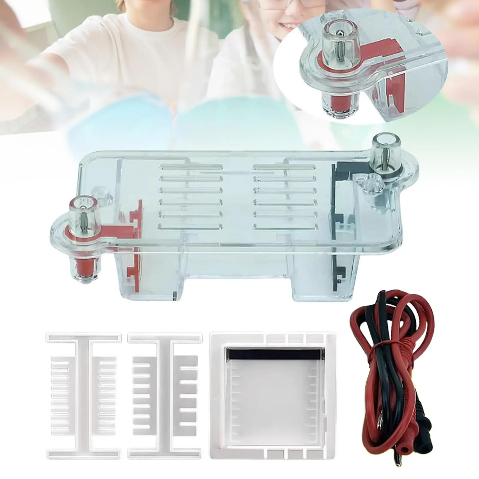 Projetos de experimentos de aparelhos de eletroforese, equipamento experimental de biologia de aprendizagem resistente para estudantes de meninos e meninas do ensino médio