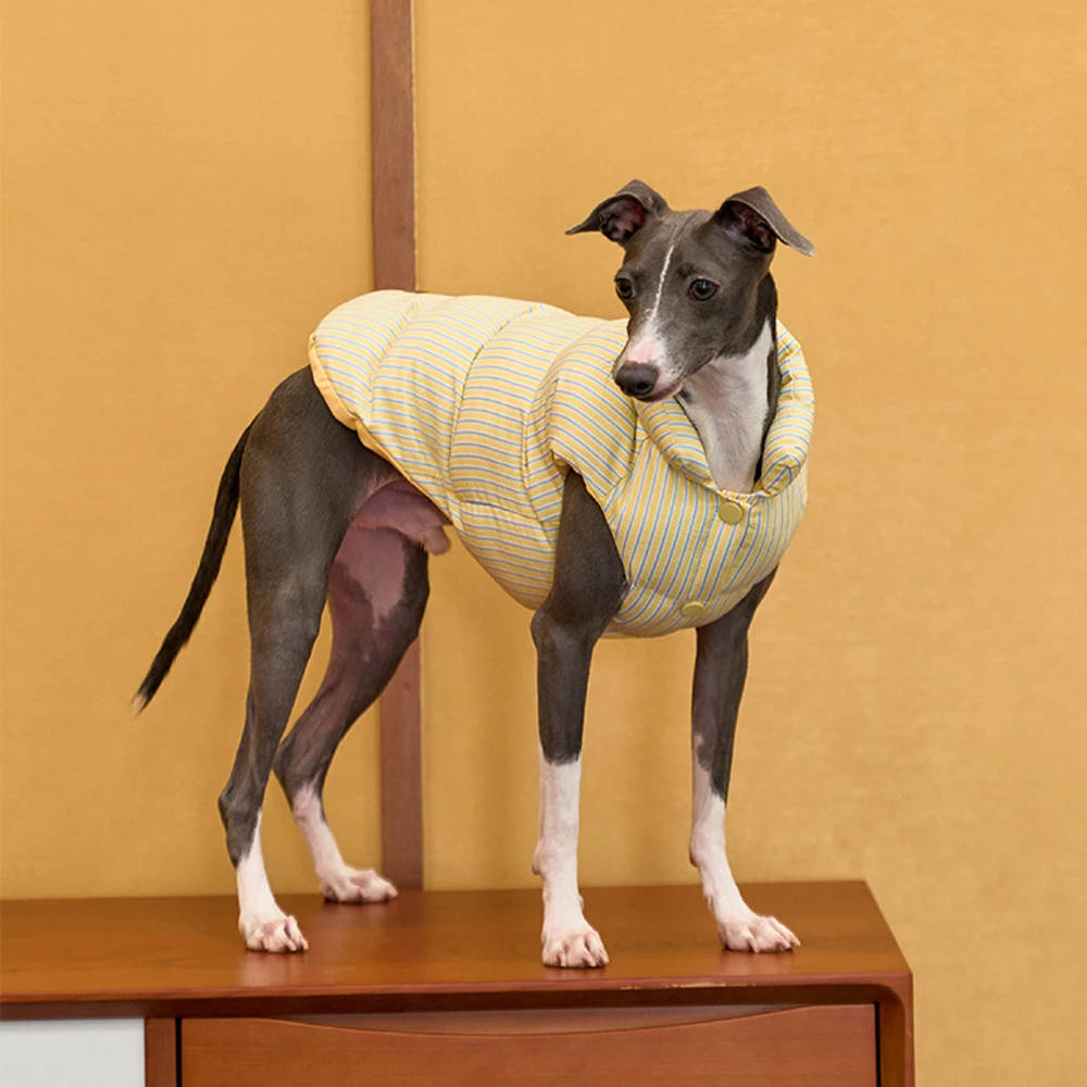Winterwarmer Daunenmantel zum schnellen Abziehen für italienischen Windhund, winddichte Streifen-Reißverschlussjacke für kleine Whippet-Hunde im Herbst – Detail 5