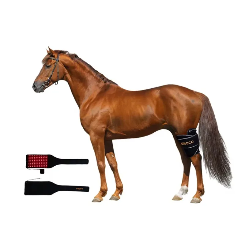 

Светодиодный медицинский солярий для лошадей, красный свет, упаковка для лошади, инфракрасная светотерапия, седло для лошади, коврик для копыта, ковер для лошади