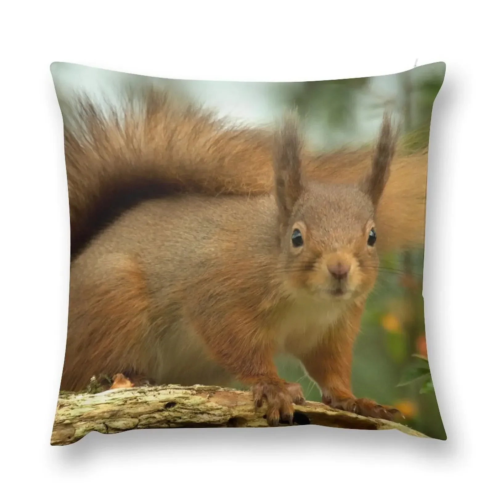 

Red Squirrel Throw Pillow Sofa Covers For Living Room pillow cover luxury pillow