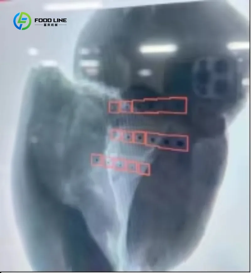 X Ray Foreign Matter Inspection for Bagged Freeze Dried Strawberries Commercial Custom