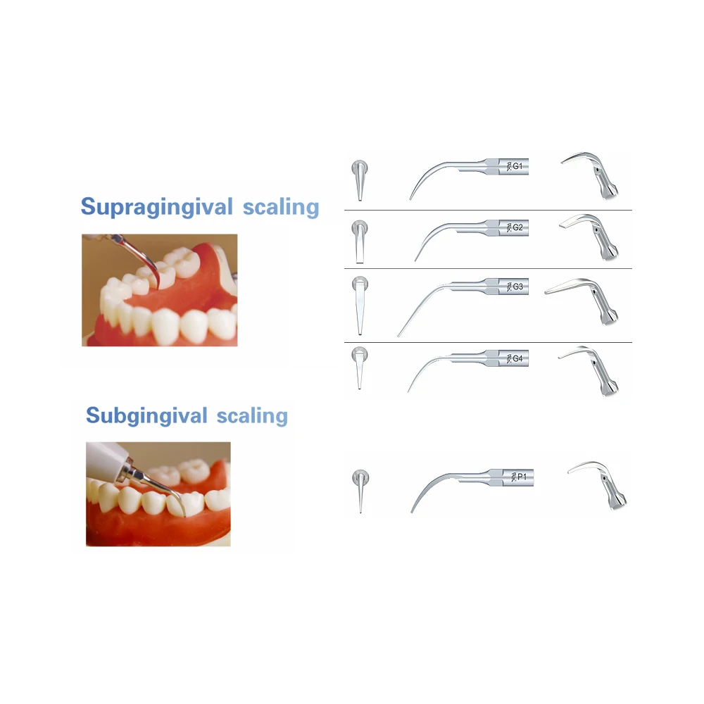 Raspador ultrasónico Dental Woodpecker DTE, puntas de escalado, punta de endodoncia, instrumentos de odontología, accesorios médicos aptos para EMS Satelec, 5 piezas