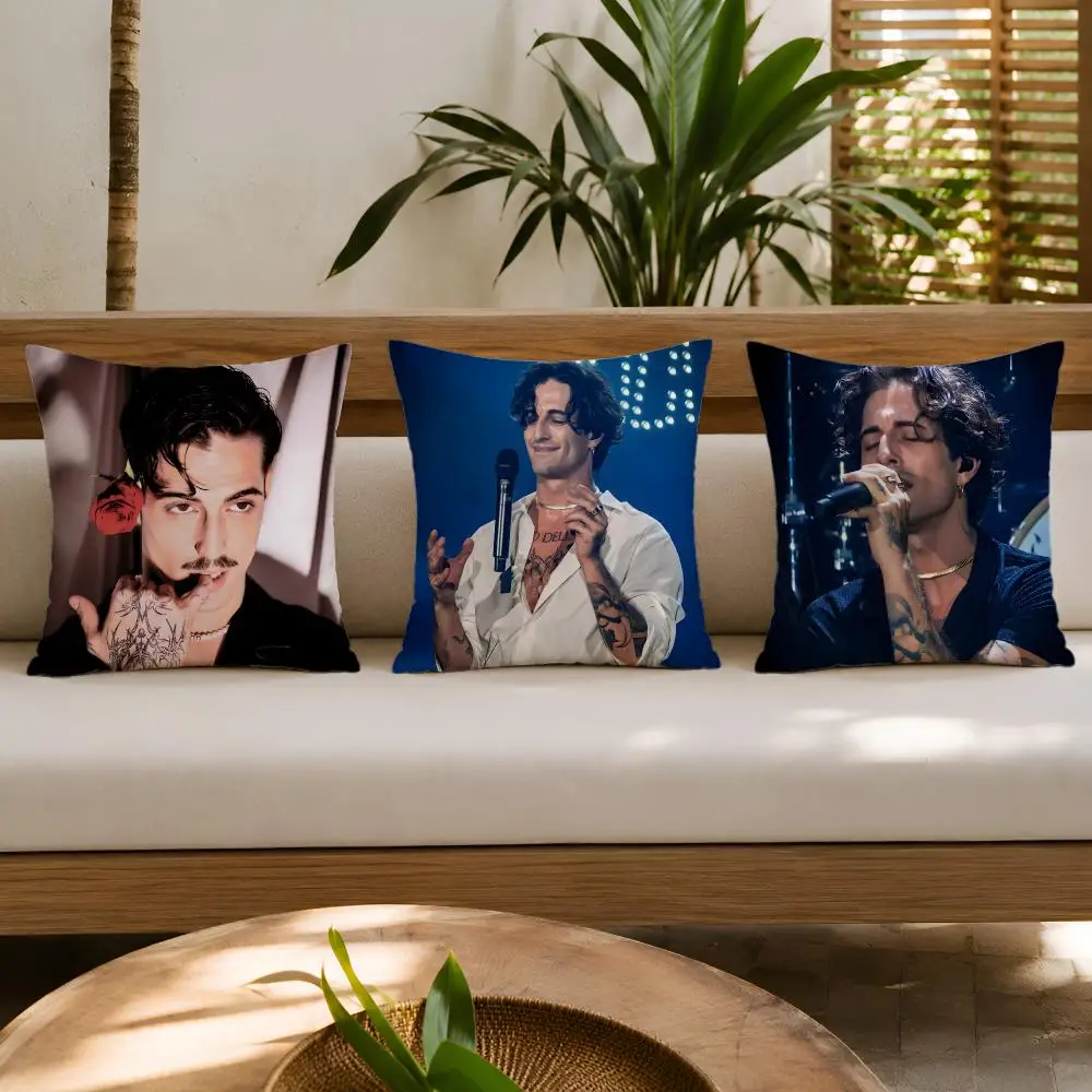 Singer D-damiano David Cushion Cover Double-Sided Plush Sofa Cushion Covers Organic Breathable Invisible Zipper